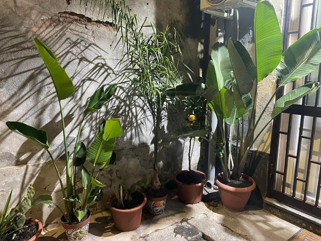 Conny'S House Apartment Catania Bagian luar foto